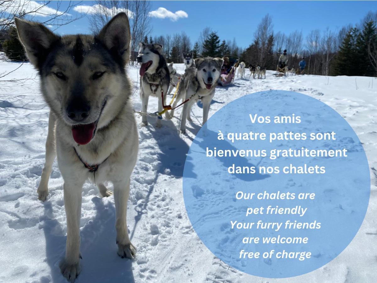 Woody - Chalets De Moh La Malbaie Esterno foto
